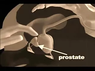 সুন্দর, চোদা চুদি মুভি স্ত্রী,